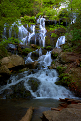 Catawba Falls