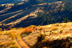 Hills
